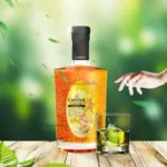 RƯỢU MƠ CHOYA UMESHU GOLD EDITION LIMITED 500ML - Ảnh 4