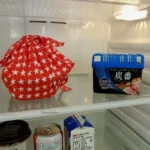 Hộp khử mùi tủ lạnh Than hoạt tính KOKUBO - Ảnh 2