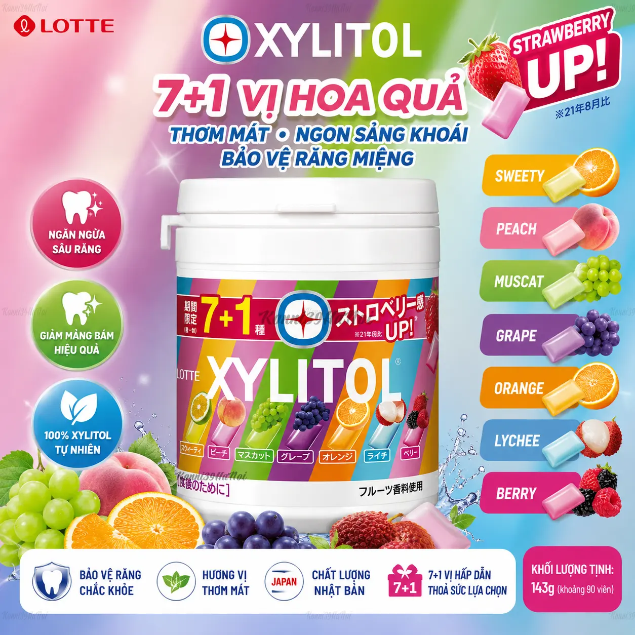 4903333228577 Kẹo Singum Lotte Xylitol vị hoa quả - Chất lượng Nhật Bản - Ảnh 1