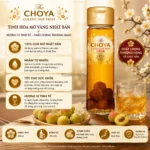 RƯỢU MƠ CHOYA GOLDEN UME FRUIT 15% ABV – CHAI 650ML | TINH TÚY TỪ MƠ NANKO NHẬT BẢN