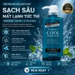 Sữa tắm bạc hà mát lạnh pharmaact - Hàng nhập nội địa Nhật Bản