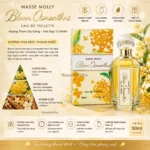 COSMESTATION-Nước hoa hương kim mộc MassaMolly 50ml