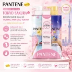 Bộ dầu gội và dầu xả Pantene Hương anh đào 400ml
