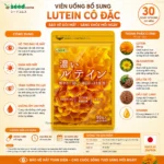 Seedcoms Viên Uống Bổ Sung Lutein Cô Đặc 30 viên (30 ngày)